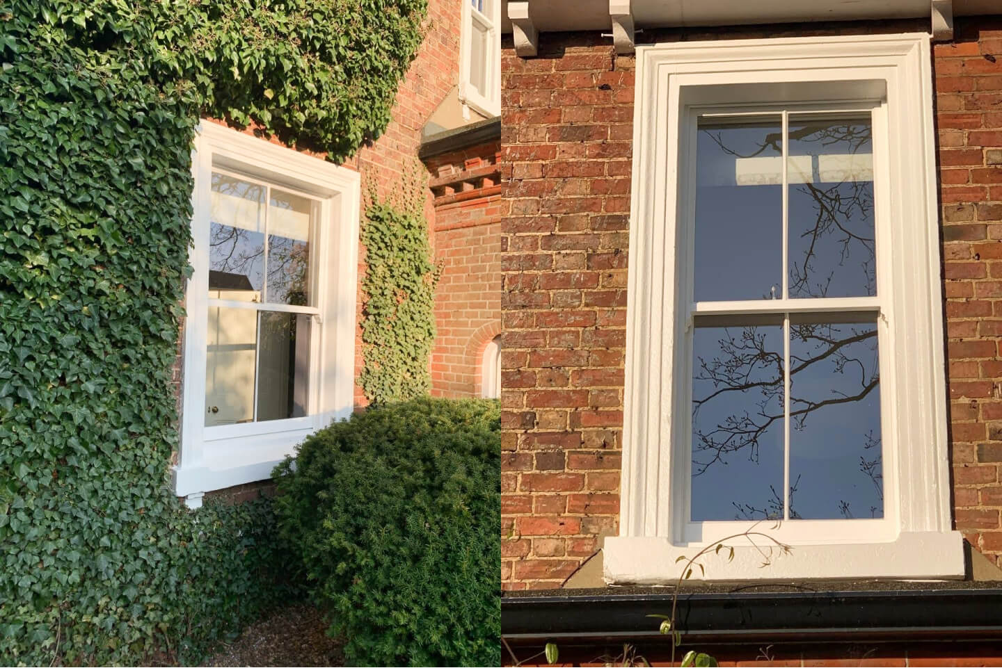 Two sash windows beside an ivy-covered wall, one with a stone sill